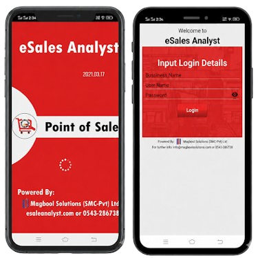 eSales Analyst POS Mockup